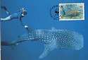 1991 Kiribati Shark & Manta Ray FDCs Cards & Mint WWF (12785)
