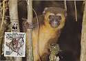 1988 Primates FDCs Cards & Mint WWF (12787)