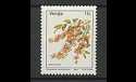 1984 Venda 11c Definitive Flowers Stamp MNH (15286)