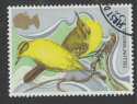 1980-01-16 SG1112 Yellow Wagtails F/U (22867)