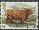 1984-03-06 SG1240 Highland Cow F/U (22995)