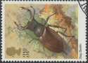 1985-03-12 SG1280 stag beetle F/U (23035)