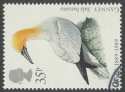 1989-01-17 SG1422 Northern gannet F/U (23173)