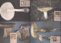 1987-03-19 Ciskei Edible Mushrooms Maxi Cards (30079)