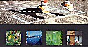 2000-06-06 People & Place Pres Pack (P312)
