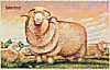 1989-02-27 Australia Australian Sheep Stamps FDC (5183)