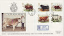 1984-03-06 British Cattle Stamps Cattle Market cds FDC (62250)