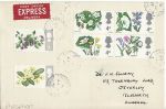 1967-04-24 British Wild Flowers PHOS Camberwell cds FDC (68669)