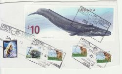 Canada Stamps Used on Piece $10 Blue Whale (82334)