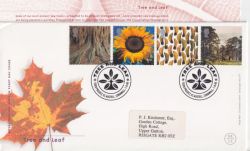 2000-08-01 Tree and Leaf Stamps St Austell FDC (90566)
