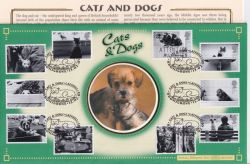 2001-02-13 Cats and Dogs Stamps Catshill FDC (90937)